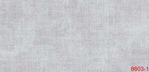 8603-1